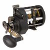 Trolling Reels * | Penn Fthii20Lw Fathom Ii Level Wind 20