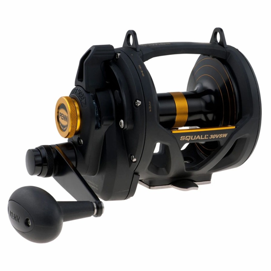 Trolling Reels * | Penn Sql30Vsw Squall Lever Drag 2 Speed Conventional Reel